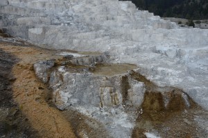 mammoth hot springs2