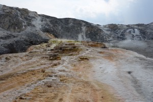 mammoth hot springs3