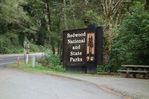 redwood sign