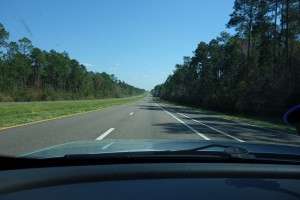 Et øyeblikk så glemte jeg med ut og kjørte inn i Florida