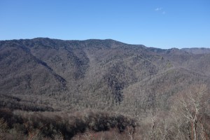 smokies