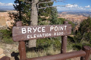 bryce4