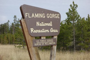 flaminggorge