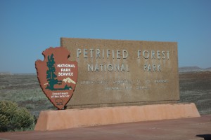 petrified1