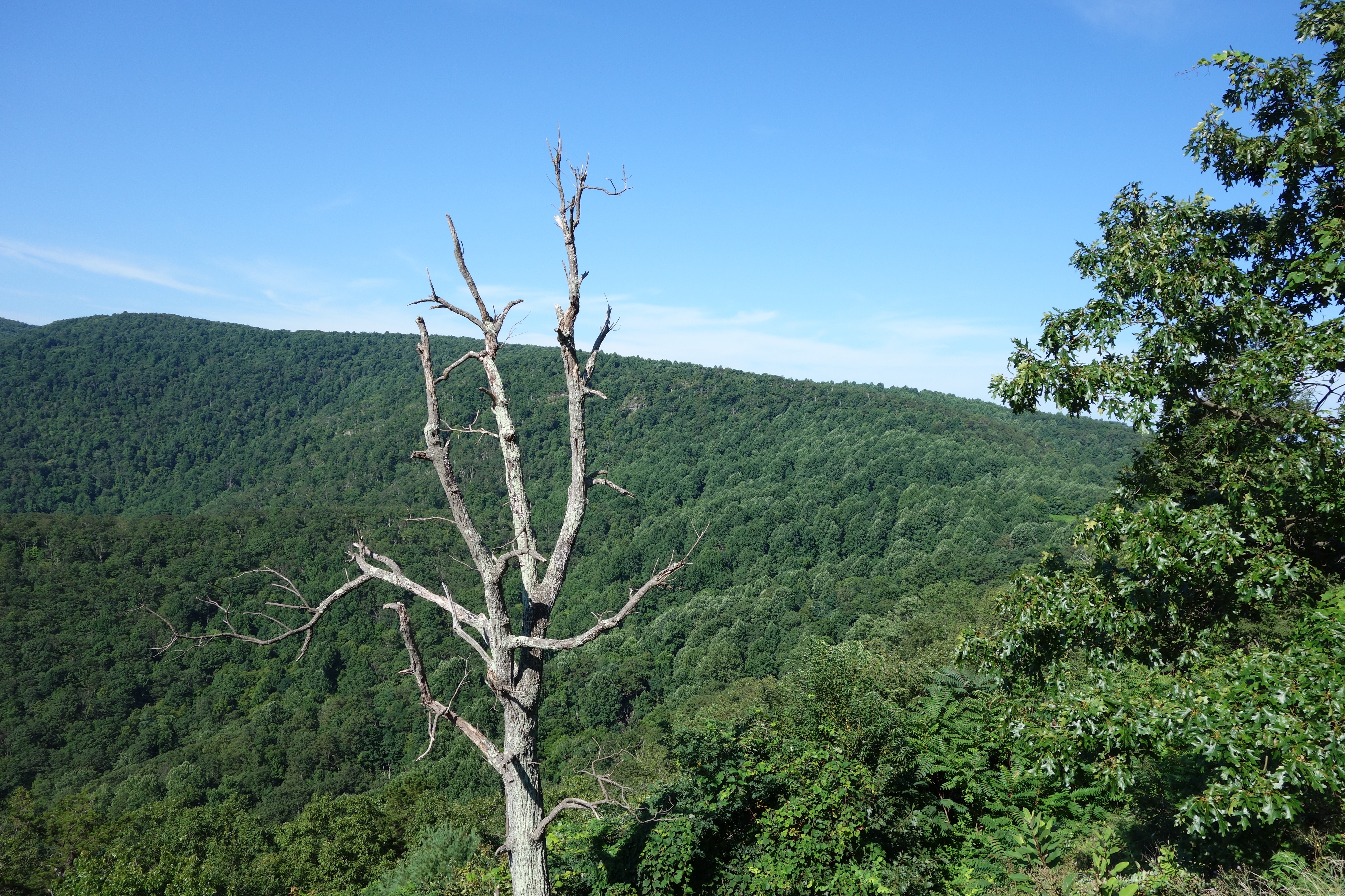 Where’s the Amish?