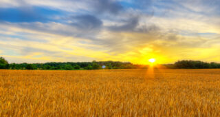 Neste Roadtrip om 3 uker – US Central – The Great Plains